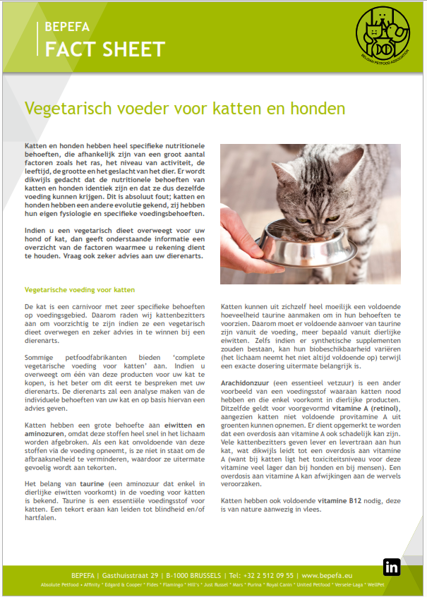 Factsheet vegetarian diets NL