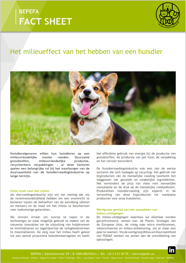 afbeelding fact sheet environment NL